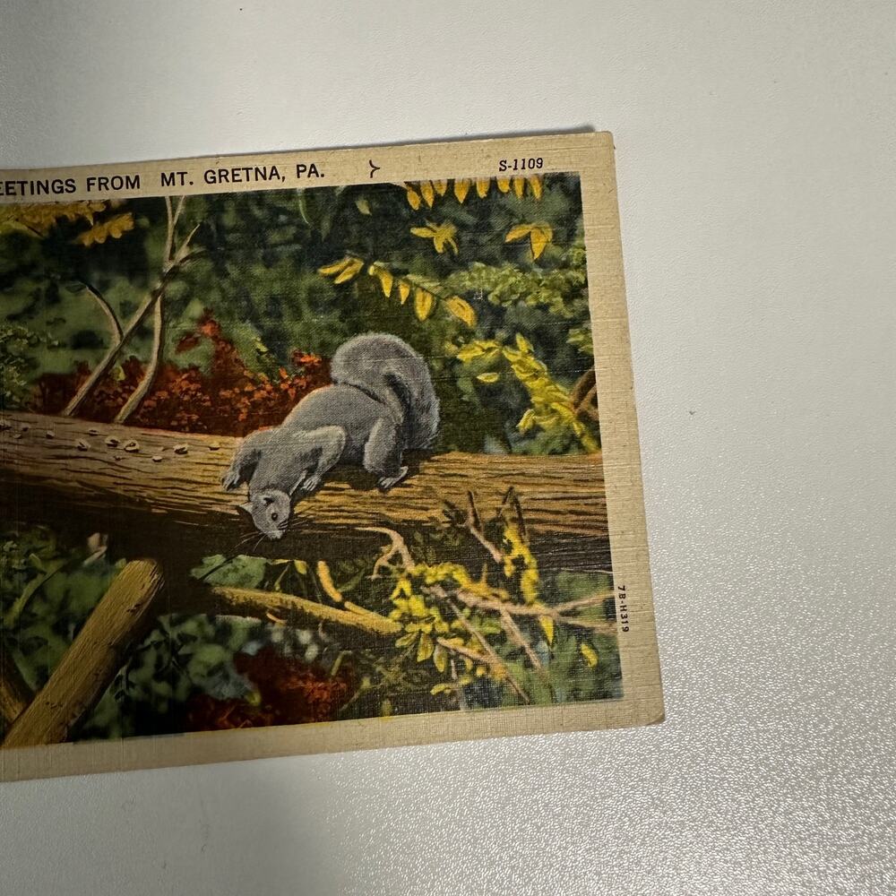 Vintage Nature Mt. Gretna PA Postcard With 2 Rare Washington 1 cent stamps - Picture 3 of 6